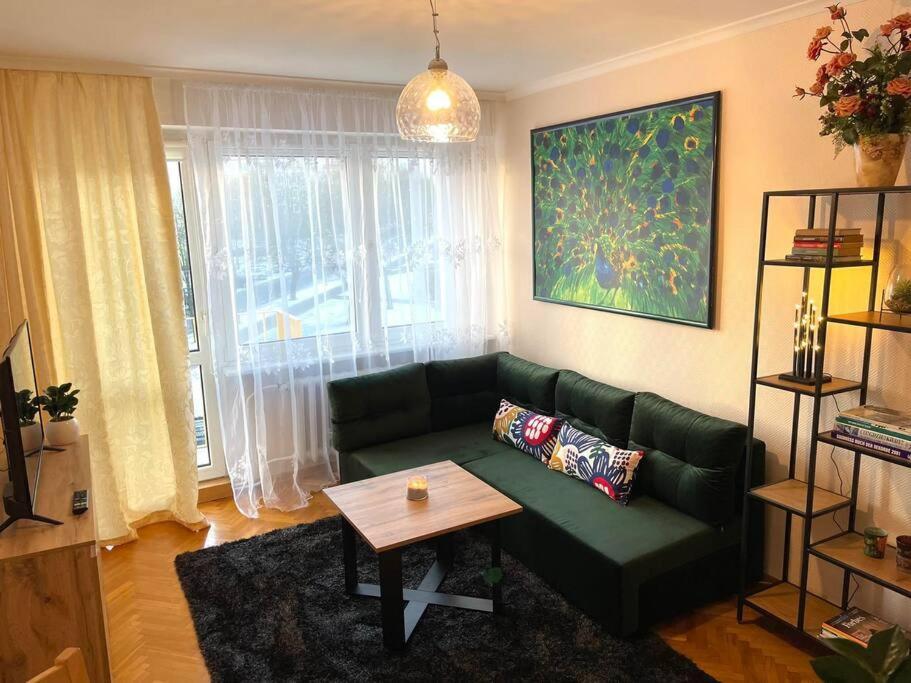 Apartament Pod Pawiem オルシュティン エクステリア 写真